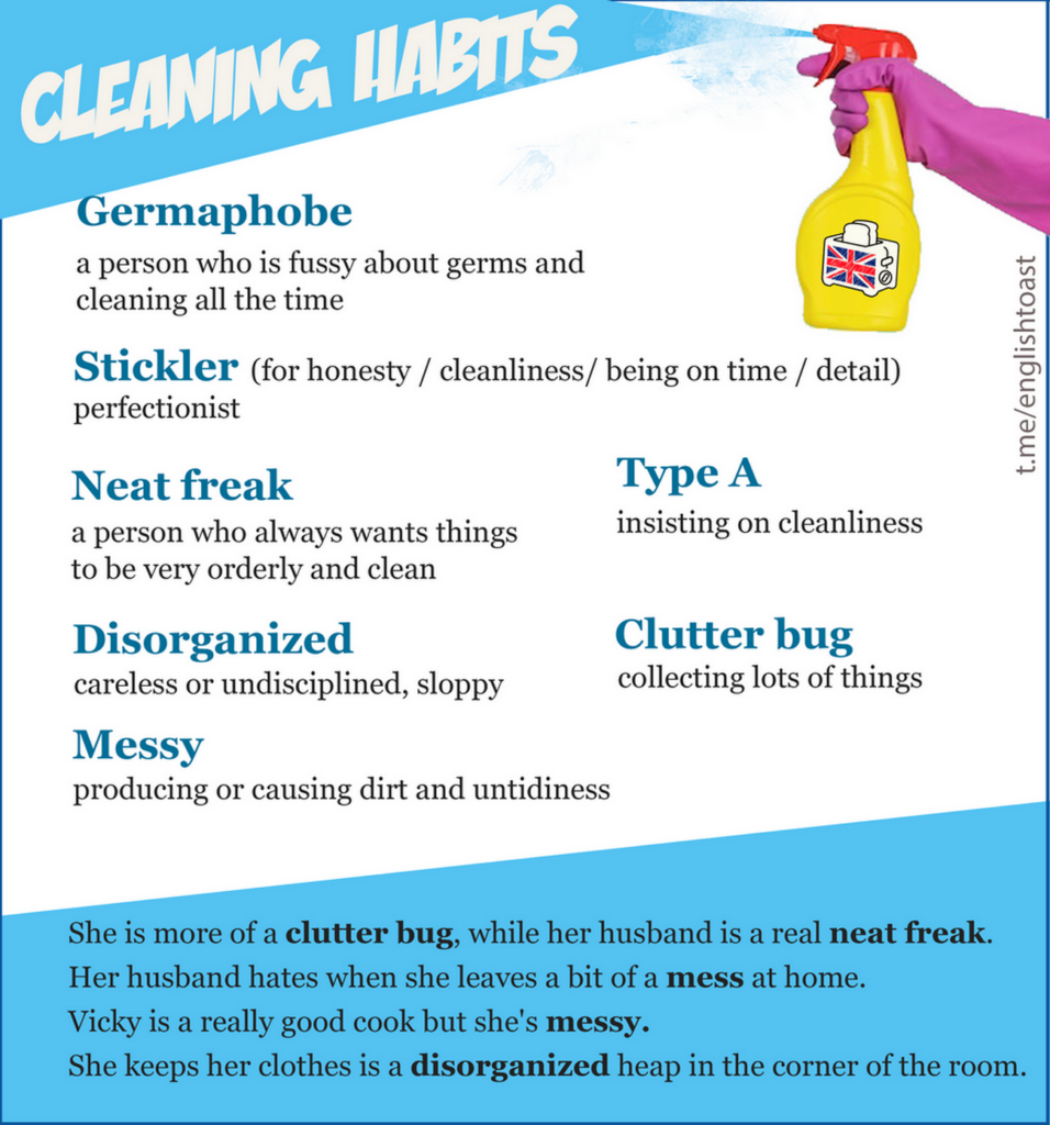 Cleaning habits - Neat freak - Stickler - Germaphobe